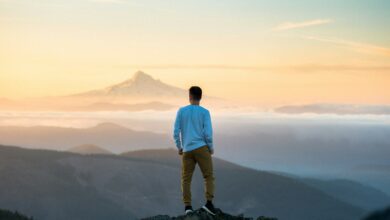 financial freedom