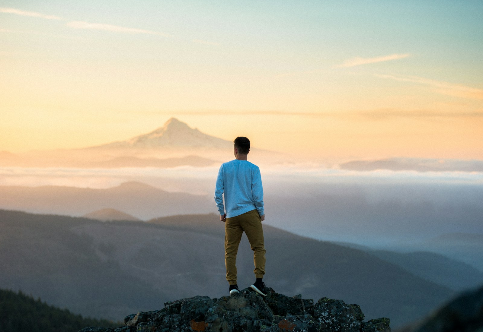 financial freedom