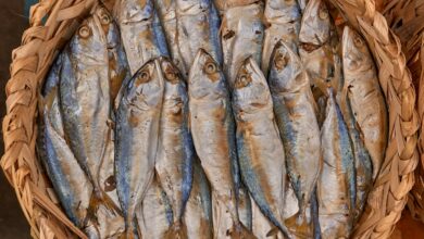 a basket of fish
