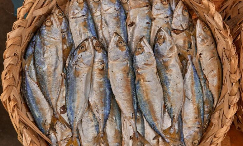 a basket of fish