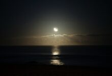 sun setting over the sea