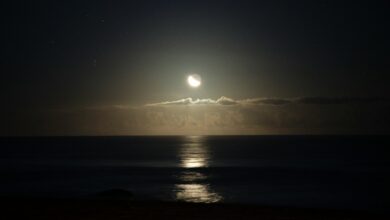 sun setting over the sea