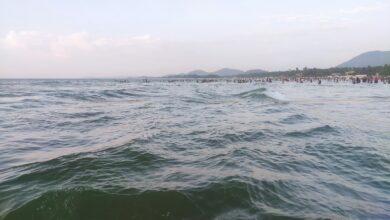 a large body of water with people in the distance