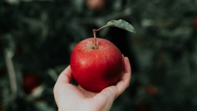 one red apple