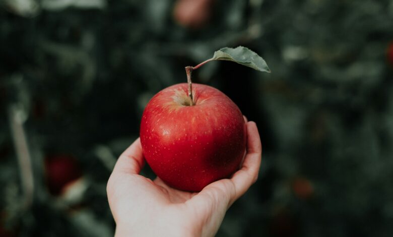 one red apple