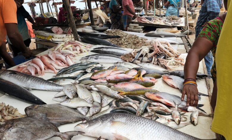 a bunch of fish that are on a table