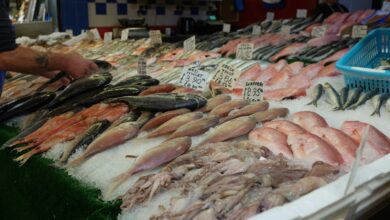 variety of fishes