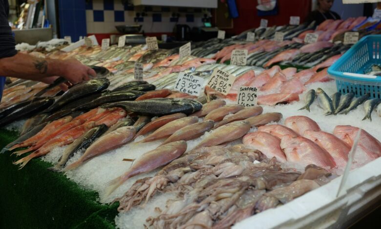 variety of fishes