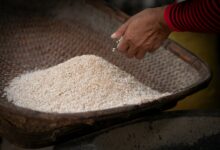 a person scooping rice out of a basket