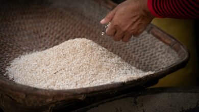 a person scooping rice out of a basket