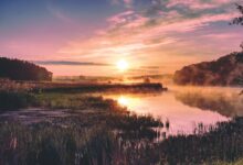 photo of green grass field beside calm body of water during golden hour