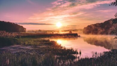 photo of green grass field beside calm body of water during golden hour