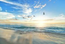 beautiful sea