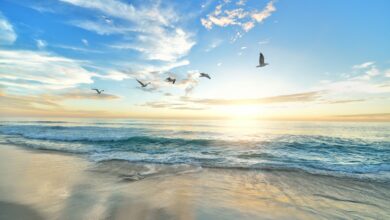 beautiful sea