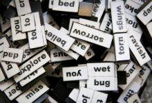 vocabulary