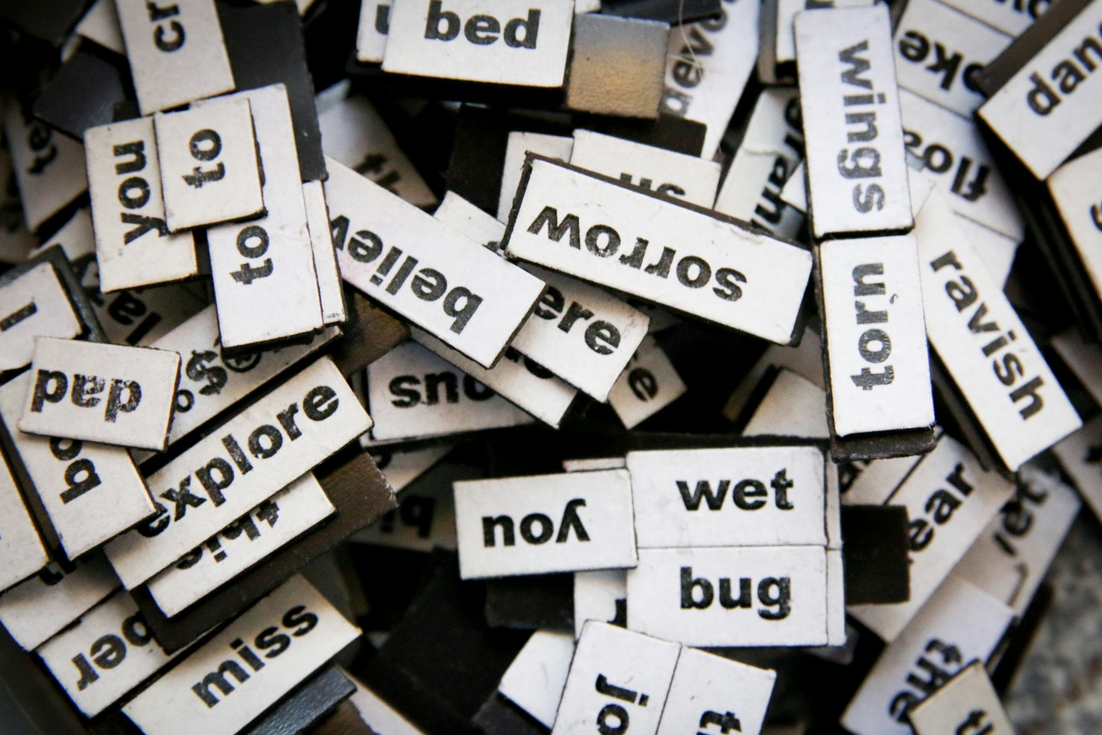 vocabulary
