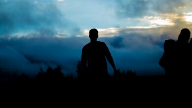 silhouette of person walking towers trees